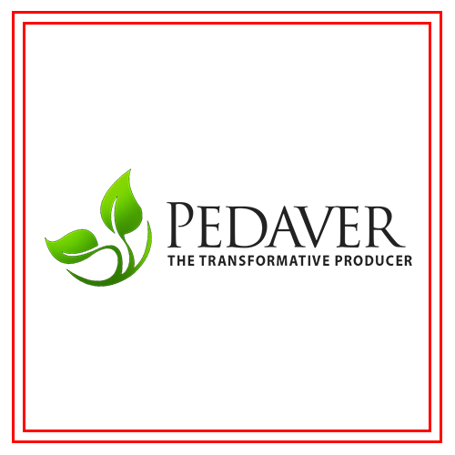 Pedaver