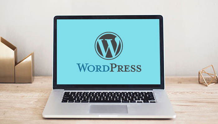 WordPress Training